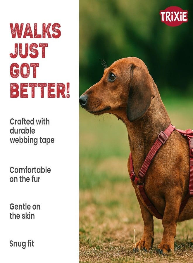 Trixie Premium H-Harness for Small to Medium Dogs, Adjustable 42-60 cm - Durable Dog Walking Harness, 15 mm Strap, Sangria Red - Image 5